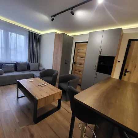Handy - Mieszkania Na Doby W Centrum Rzeszowa Apartment *
