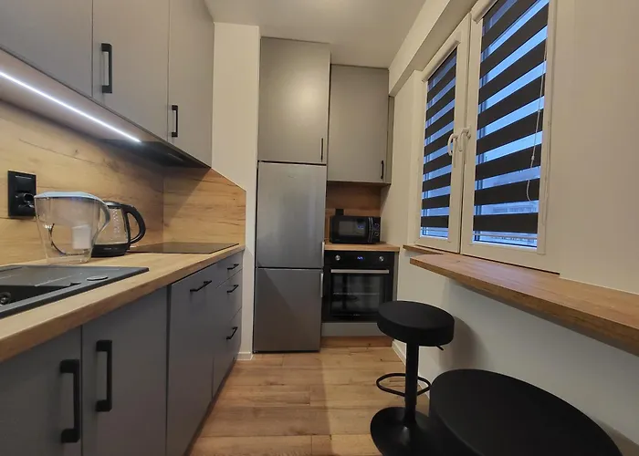 Handy - Mieszkania Na Doby W Centrum Rzeszowa *