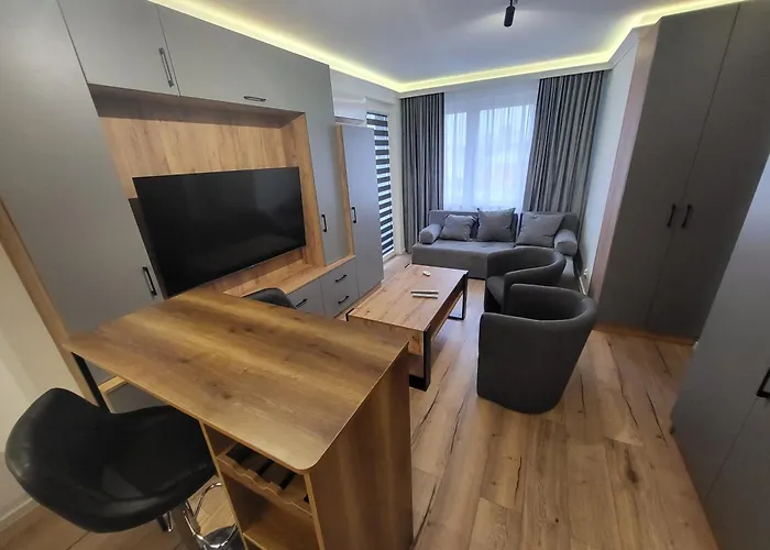 Handy - Mieszkania Na Doby W Centrum Rzeszowa Апартаменти Ряшів