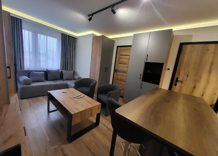 Handy - Mieszkania Na Doby W Centrum Rzeszowa Apartment *